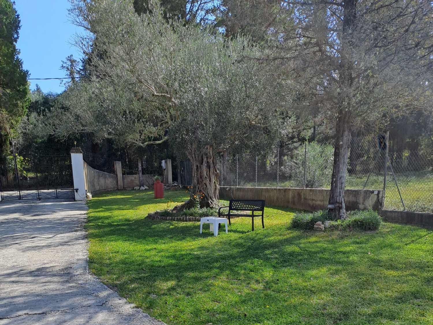 Villa Haris Gazátika エクステリア 写真